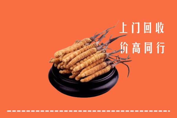 高价求购：酒泉回收散虫草