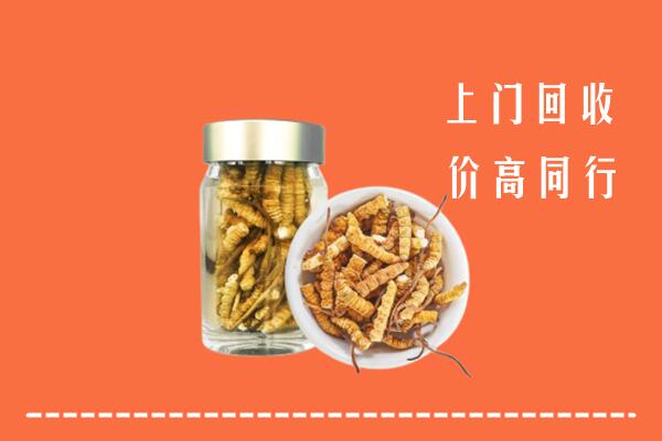 收购行情：酒泉回收冬虫夏草
