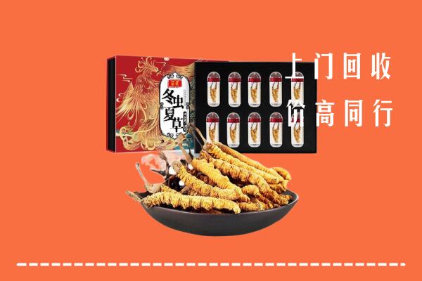 收购行情：酒泉回收虫草